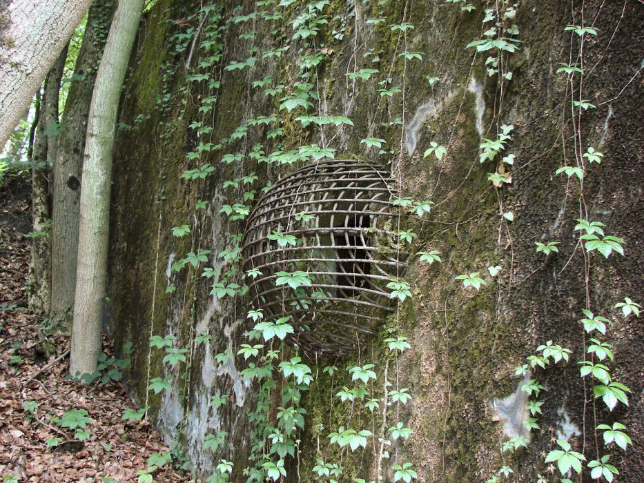 Ligne Maginot - METRICH - A17 - (Ouvrage d'artillerie) - Bloc 15
Grille d'aération. - Schnoupf