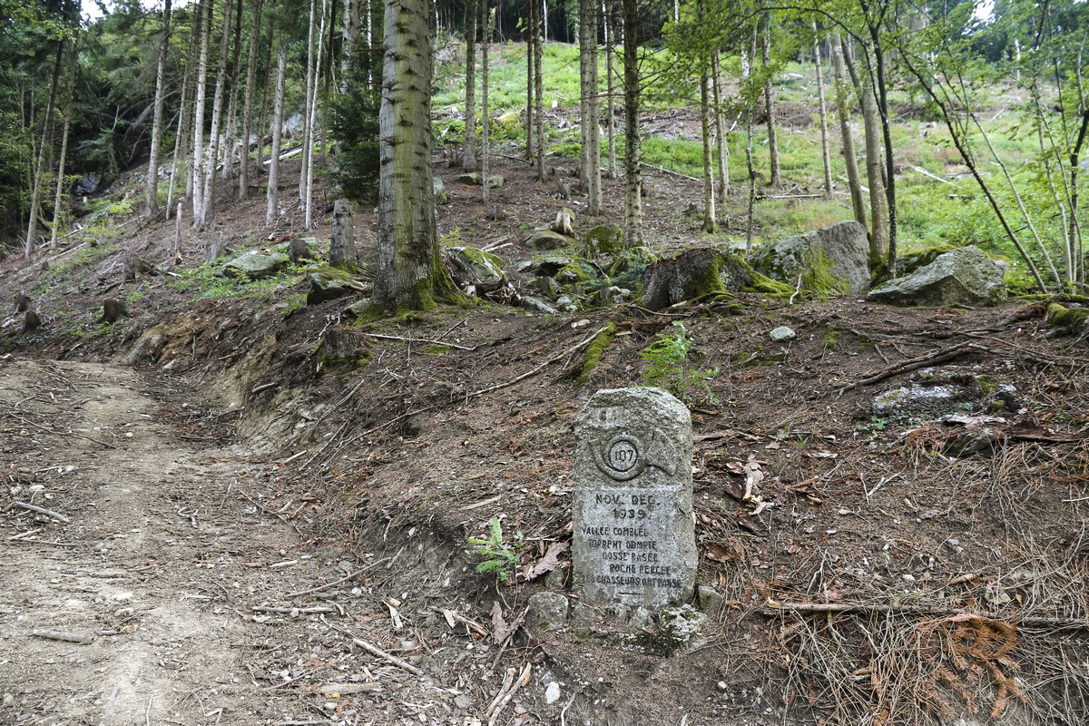 Ligne Maginot - O7-7BIS - SAXEL SUD - (Ouvrage d'infanterie) - A proximité, le long de la piste militaire, un monument - Alain Perouffe