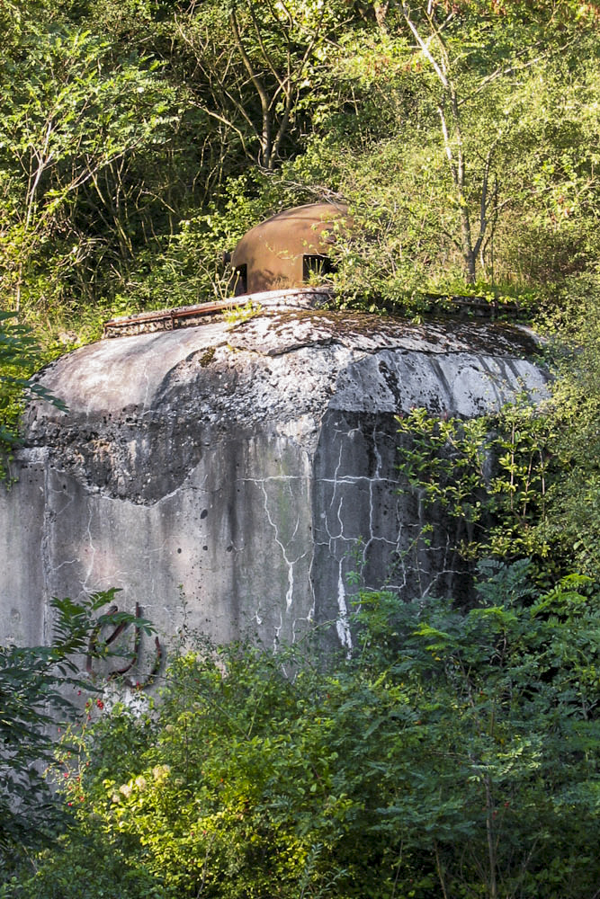 Ligne Maginot - METRICH - A17 - (Ouvrage d'artillerie) - Entrée des hommes
L'une des deux cloches GFM émerge encore au-dessus des gravas qui recouvrent l'entrée - Michel Teiten