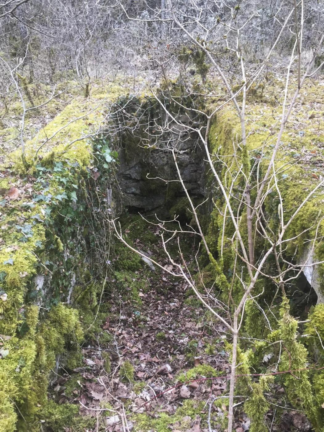 Ligne Maginot - METRICH - (Casernement) - Ruines du casernement
Les fondations d'une baraque et sa cave - Louis Zenner