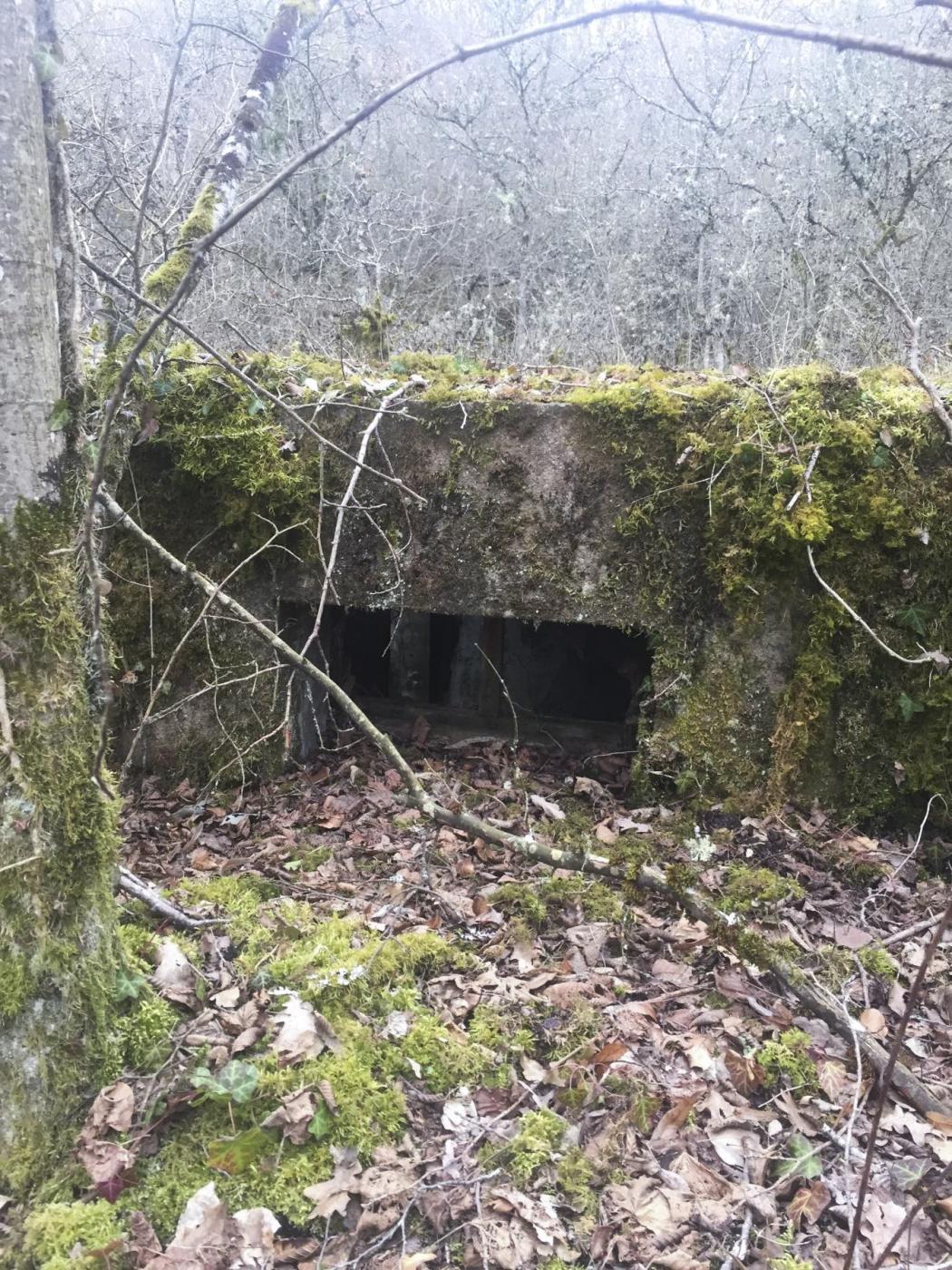 Ligne Maginot - METRICH - (Casernement) - Ruines du casernement
Les fondations d'une baraque et sa cave - Louis Zenner
