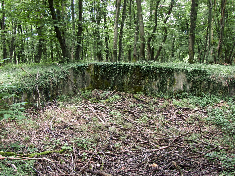 Ligne Maginot - METRICH - A17 - (Ouvrage d'artillerie) - Aux alentours
Un réservoir entre le bloc 7 et le bloc 11. - Schnoupf