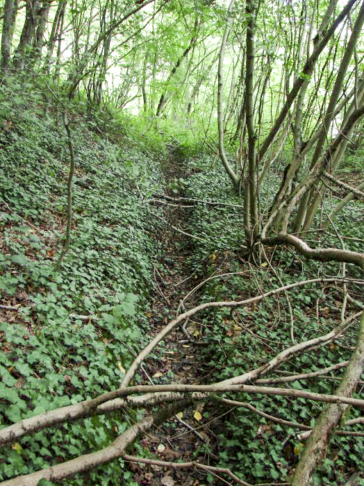 Ligne Maginot - METRICH - A17 - (Ouvrage d'artillerie) - Ecoulement d'eau pluviale le long de la voie de 60. - Schnoupf