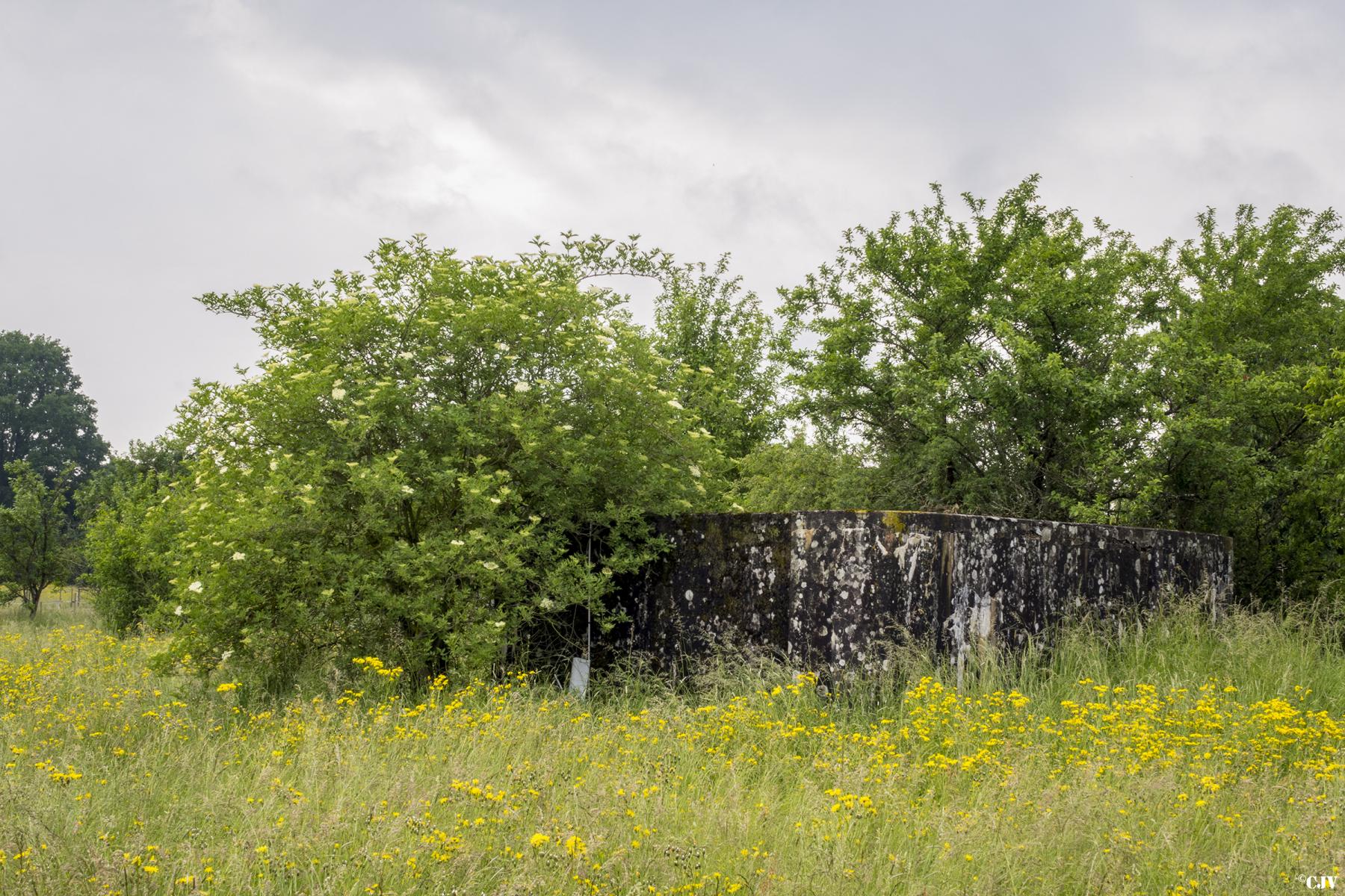 Ligne Maginot - MAXSTADT 2 - (Blockhaus pour canon) -  - Lia VERMEULEN