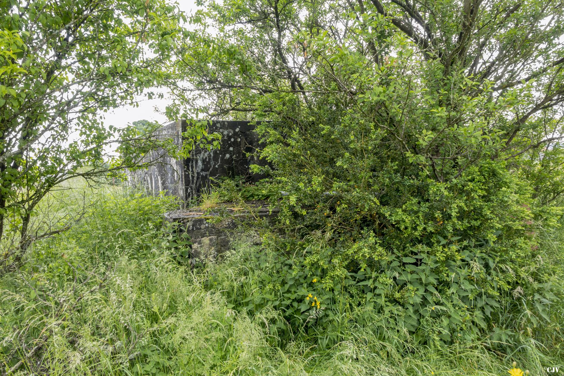 Ligne Maginot - MAXSTADT 2BIS - (Blockhaus pour arme infanterie) -  - Lia VERMEULEN