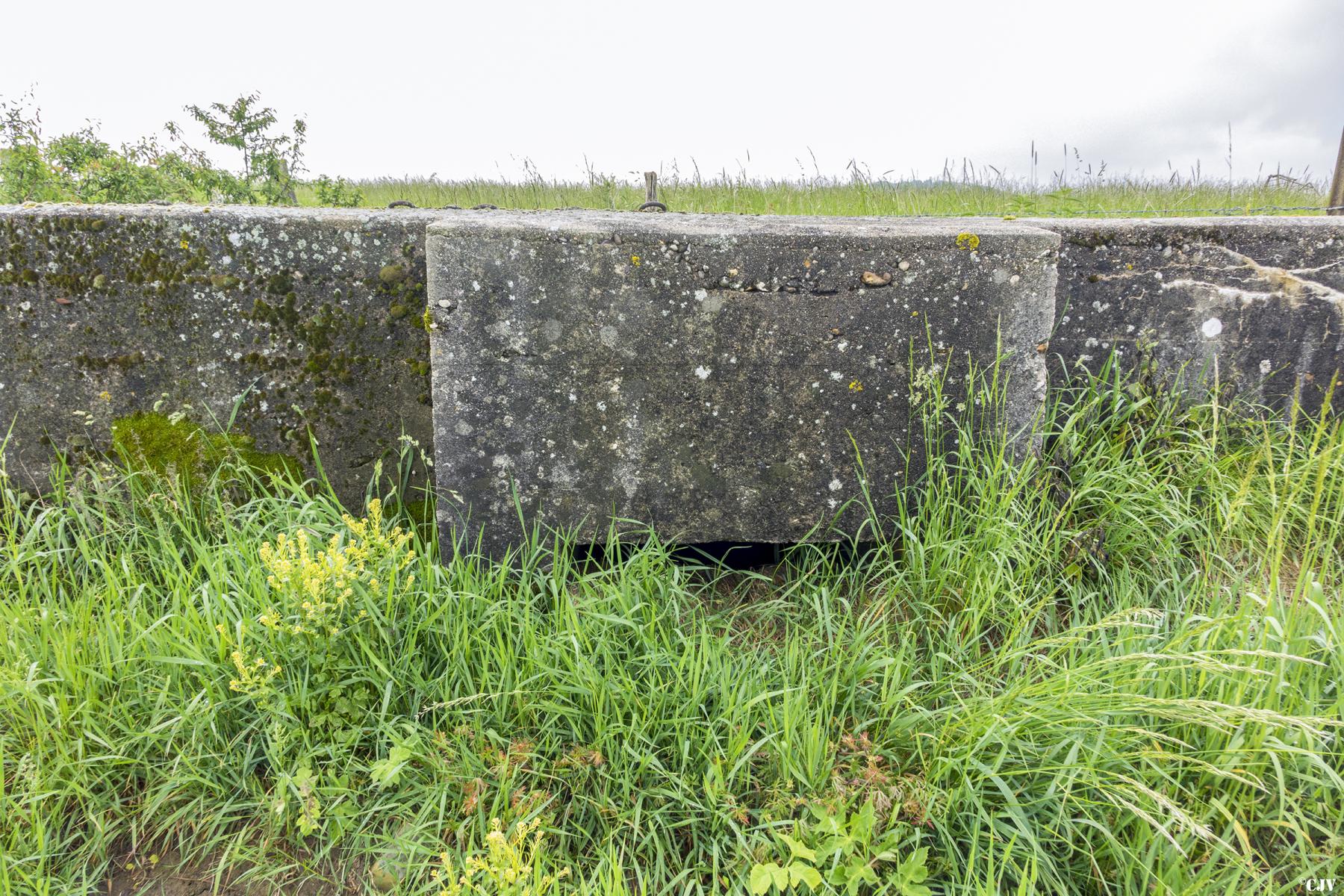 Ligne Maginot - MAXSTADT 5 - (Blockhaus pour arme infanterie) -  - Lia VERMEULEN