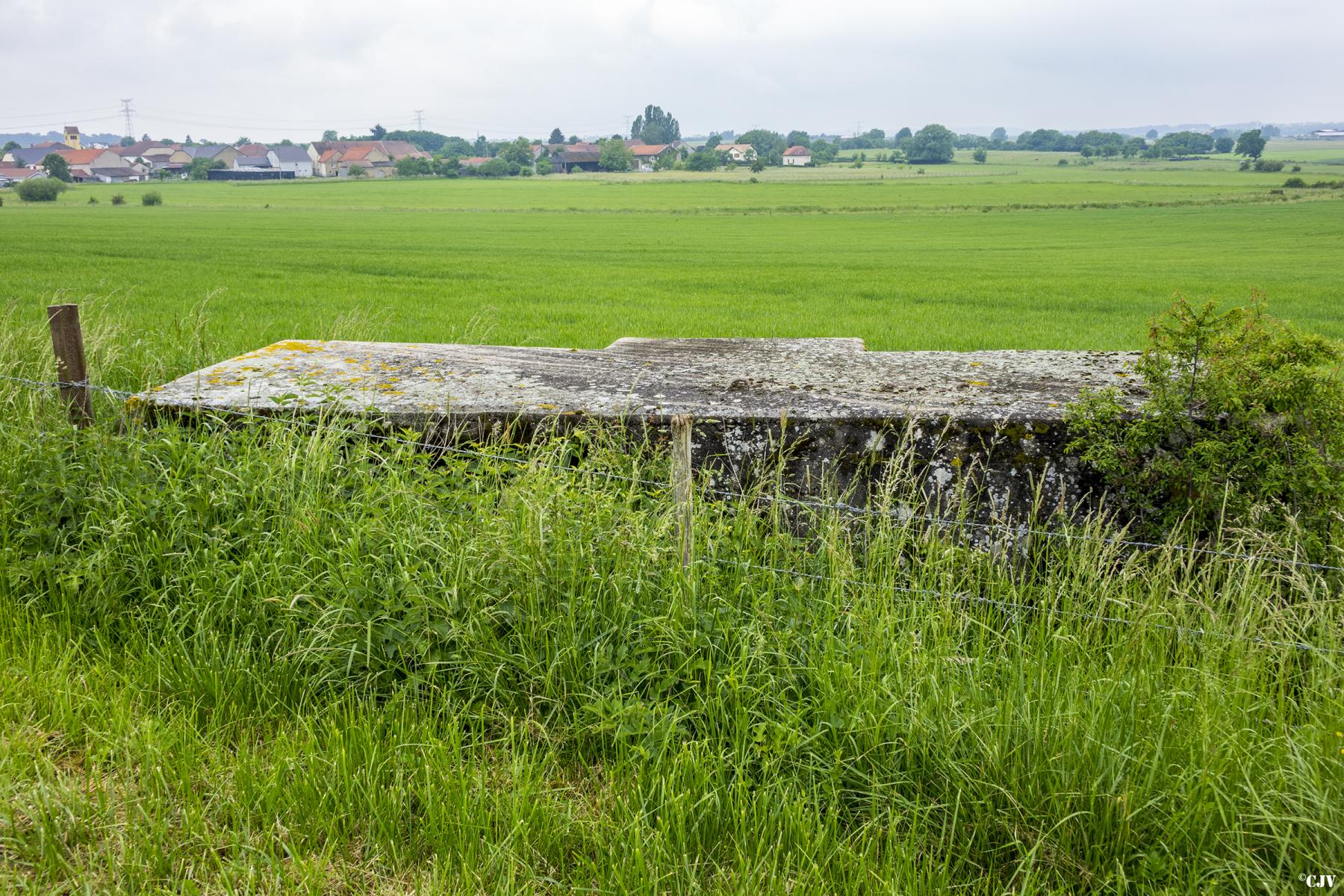 Ligne Maginot - MAXSTADT 5 - (Blockhaus pour arme infanterie) -  - Lia VERMEULEN