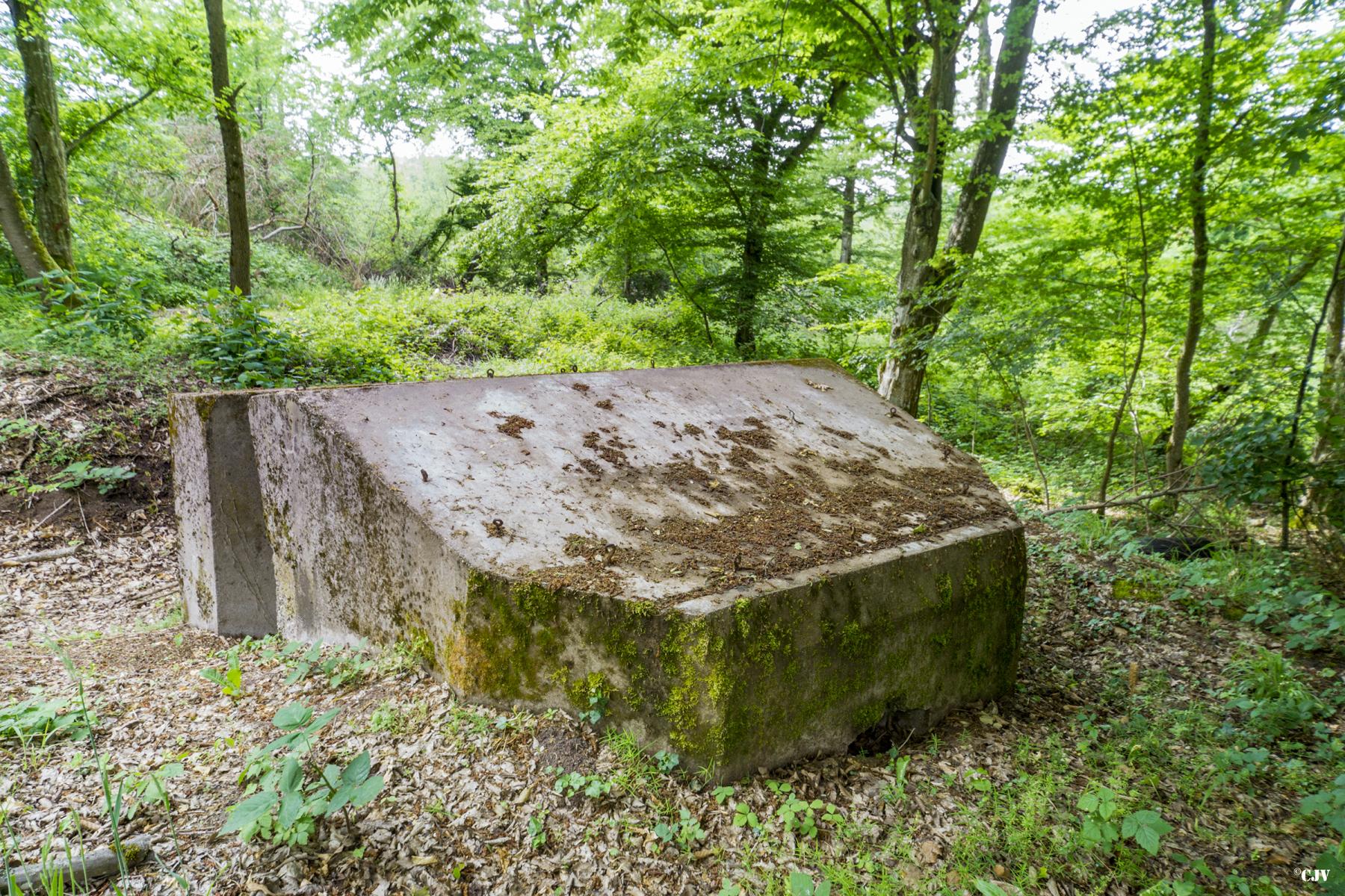 Ligne Maginot - MITTELSWALD 1 - (Blockhaus pour arme infanterie) -              - Lia VERMEULEN