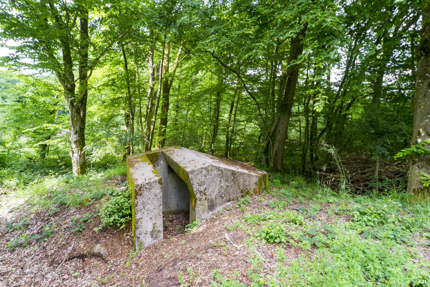 Ligne Maginot - MITTELSWALD 1 - (Blockhaus pour arme infanterie) -               - Lia VERMEULEN
