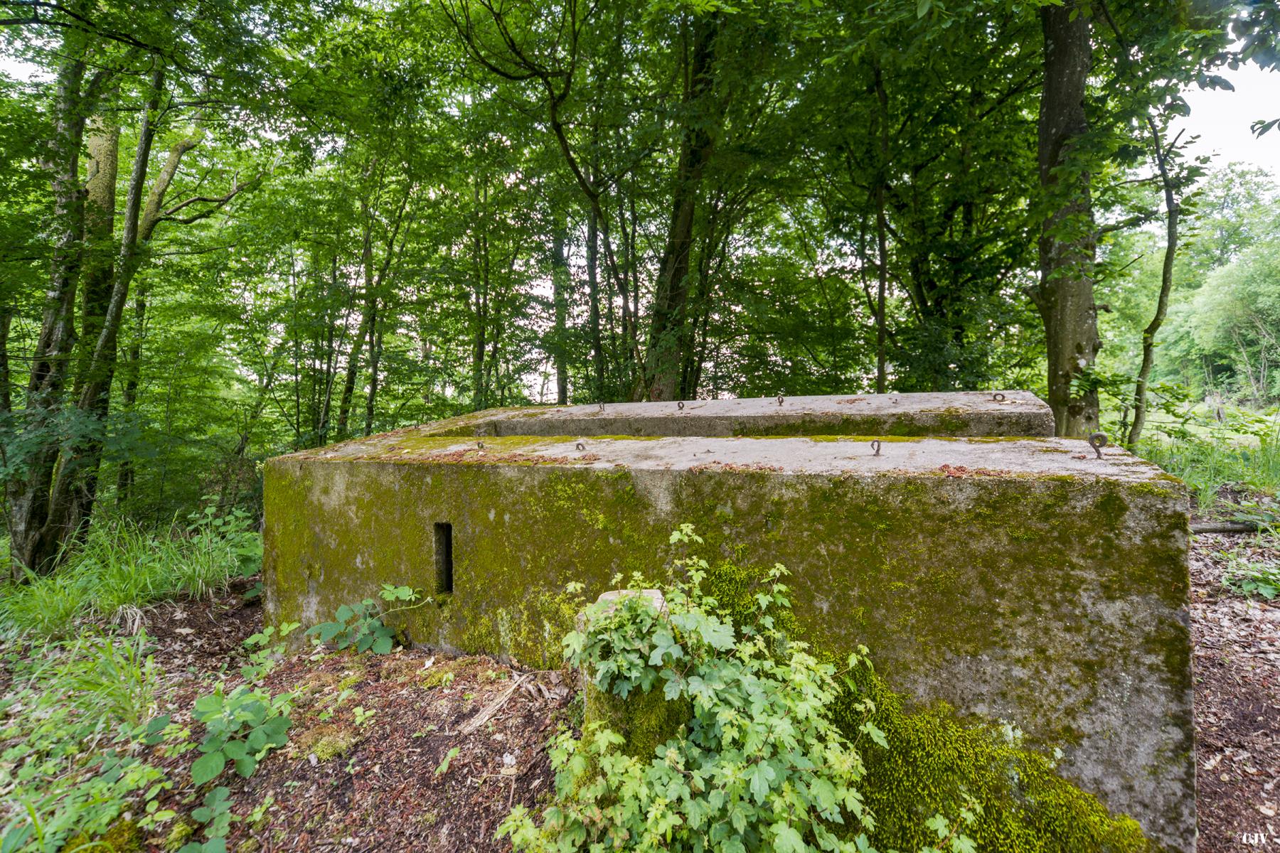 Ligne Maginot - MITTELSWALD 1 - (Blockhaus pour arme infanterie) -                - Lia VERMEULEN