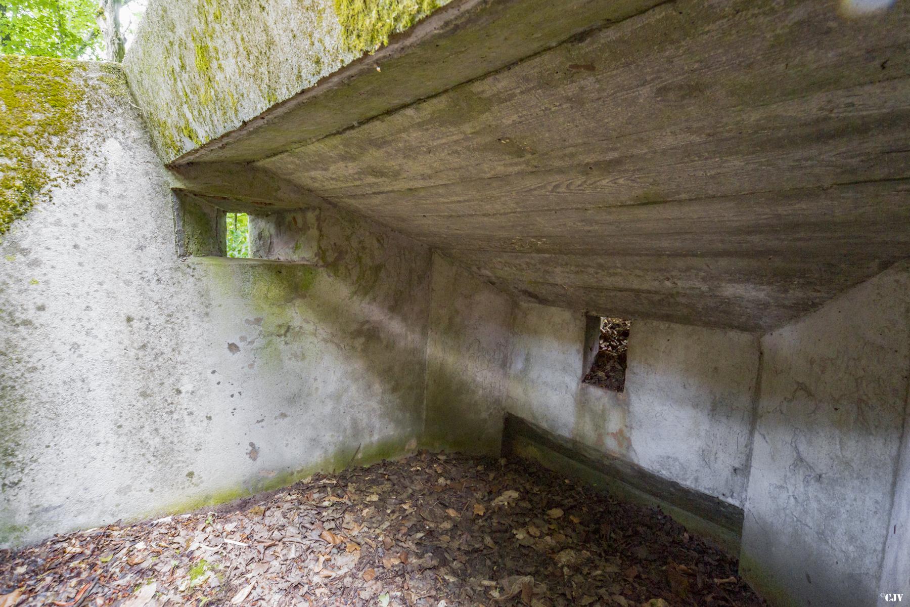 Ligne Maginot - MITTELSWALD 1 - (Blockhaus pour arme infanterie) -                 - Lia VERMEULEN