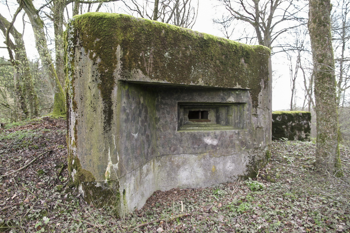 Ligne Maginot - MOLSCHPRICH NORD - (Blockhaus pour arme infanterie) -  - Alain Perouffe