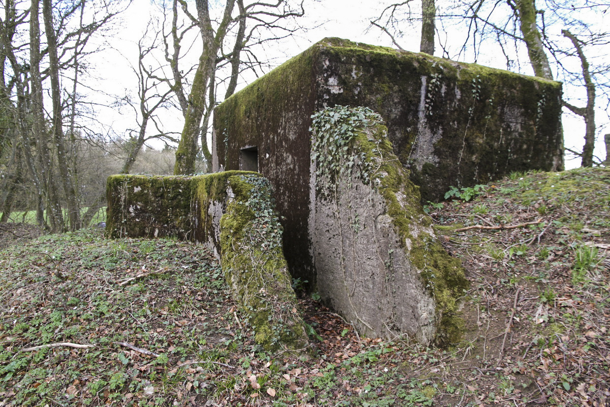 Ligne Maginot - MOLSCHPRICH NORD - (Blockhaus pour arme infanterie) -  - Alain Perouffe