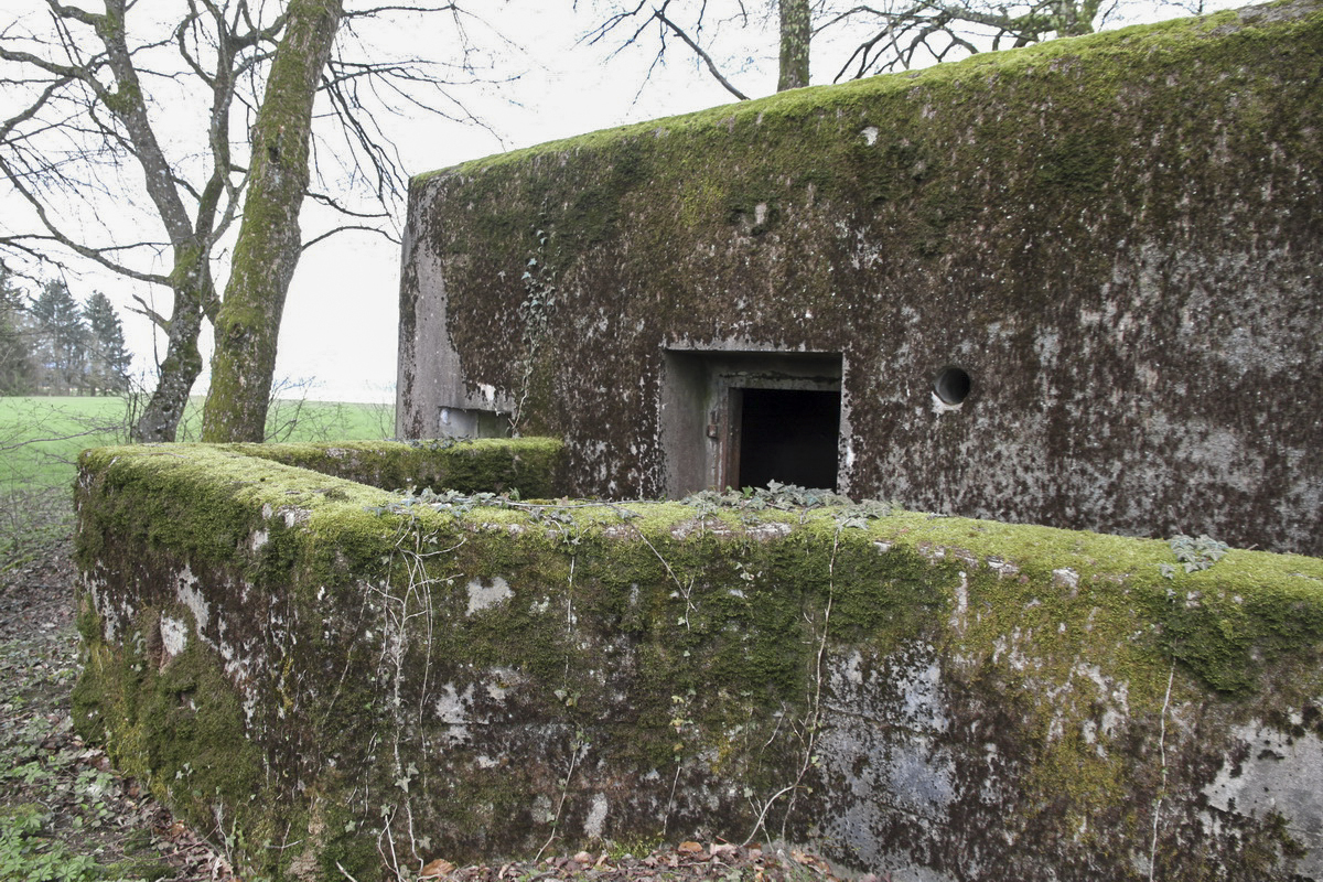 Ligne Maginot - MOLSCHPRICH NORD - (Blockhaus pour arme infanterie) -  - Alain Perouffe