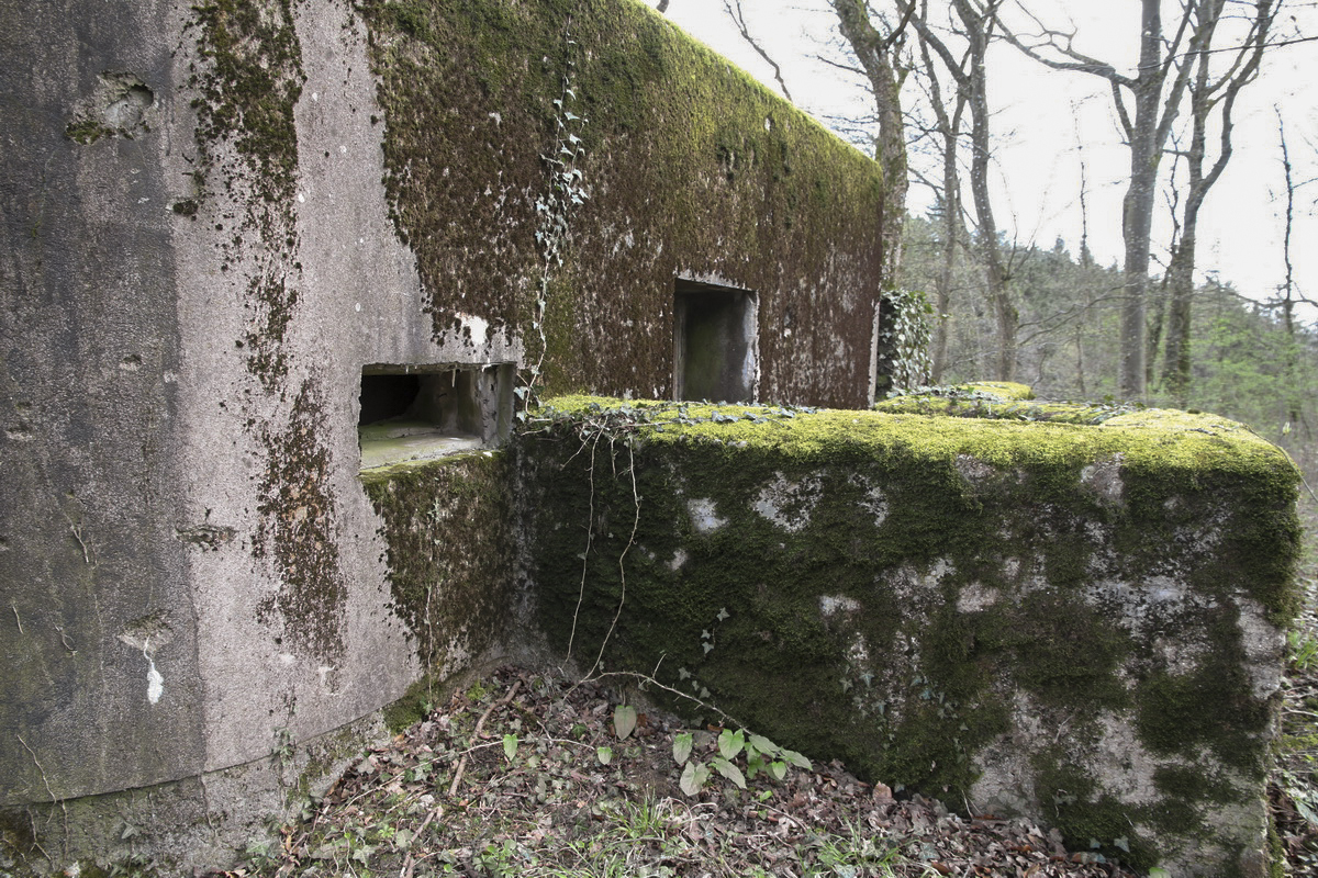 Ligne Maginot - MOLSCHPRICH NORD - (Blockhaus pour arme infanterie) -  - Alain Perouffe