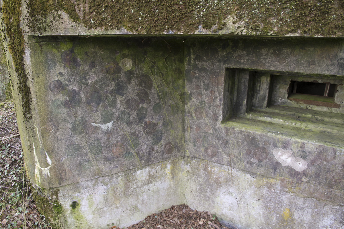 Ligne Maginot - MOLSCHPRICH NORD - (Blockhaus pour arme infanterie) - Reste de camouflage - Alain Perouffe