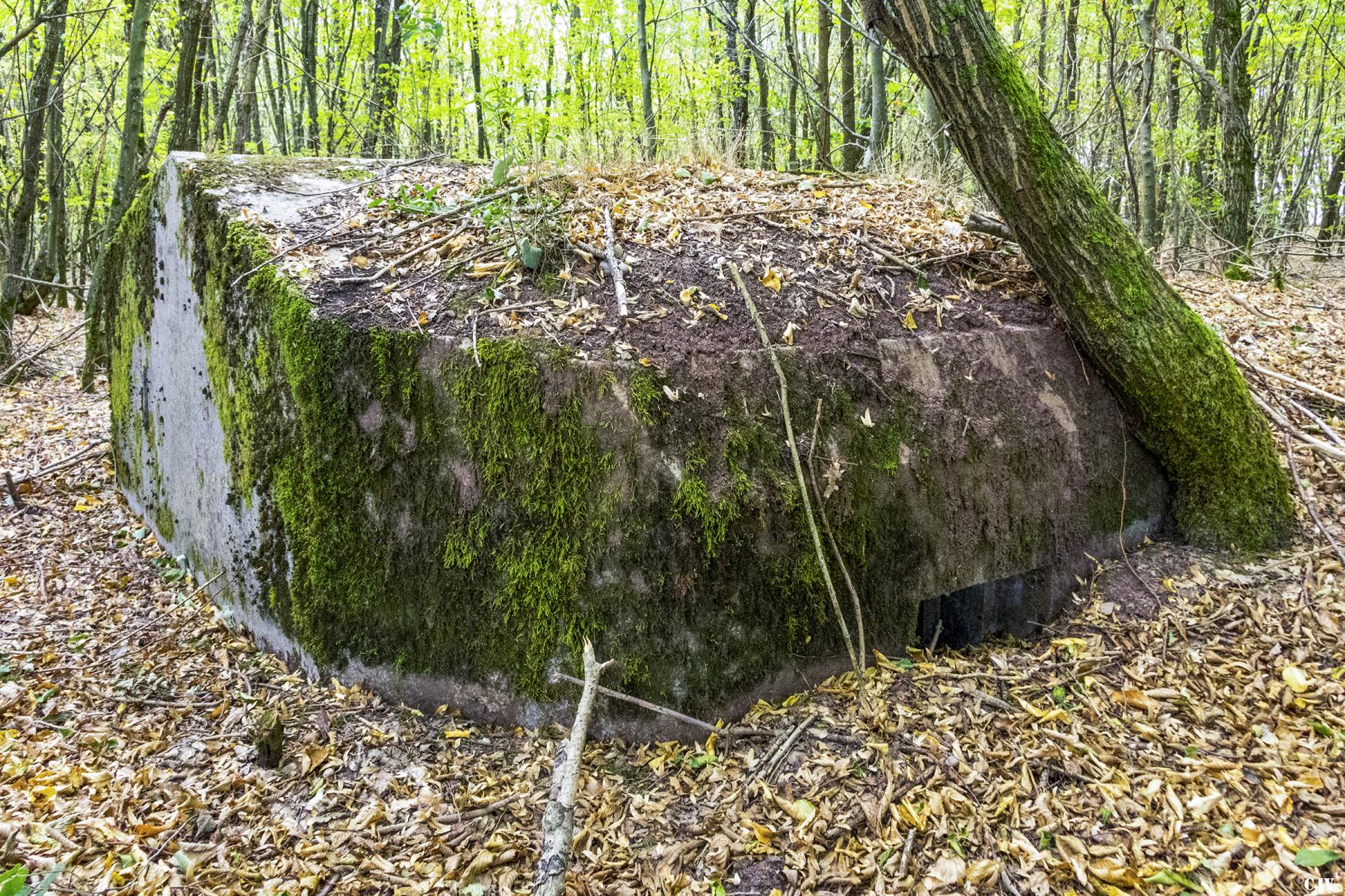 Ligne Maginot - MITTELSWALD 2 - (Blockhaus pour arme infanterie) -                - Lia VERMEULEN
