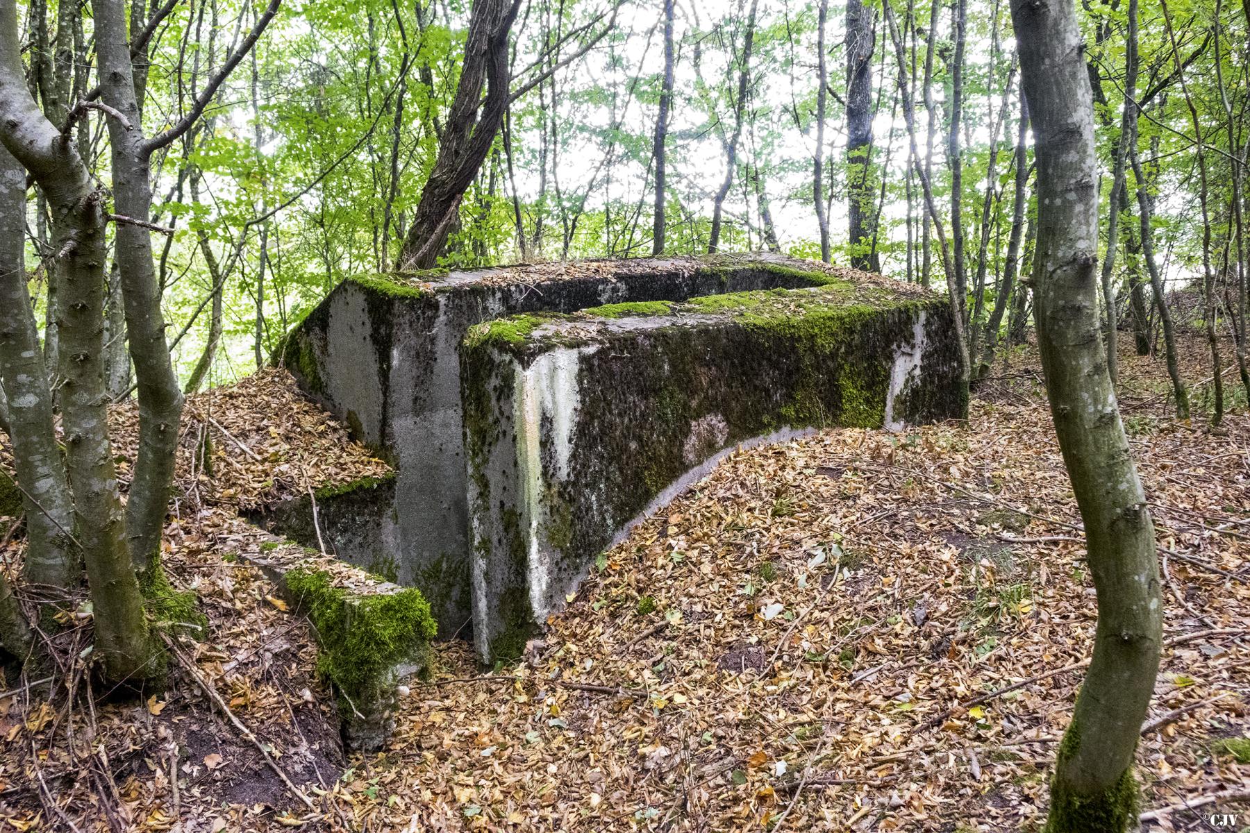 Ligne Maginot - MITTELSWALD 2 - (Blockhaus pour arme infanterie) -                 - Lia VERMEULEN