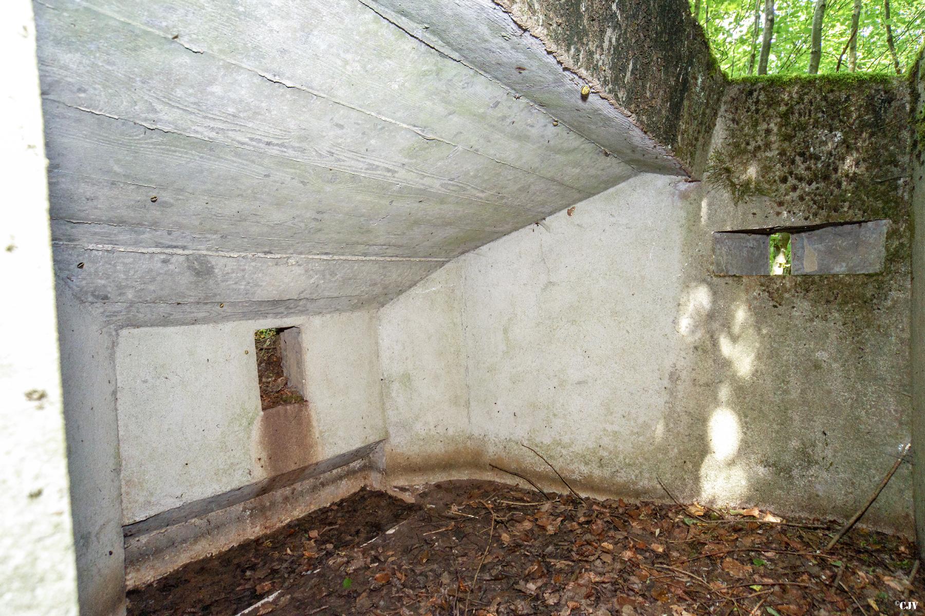 Ligne Maginot - MITTELSWALD 2 - (Blockhaus pour arme infanterie) -                  - Lia VERMEULEN