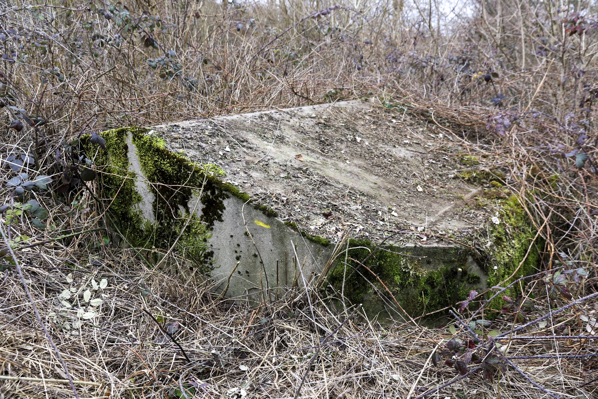 Ligne Maginot - REBBERG EST - (Blockhaus pour arme infanterie) - Le bouclier bien embroussaillé - Alain Perouffe