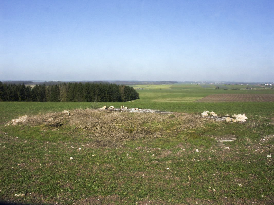 Ligne Maginot - REBBERG 1 - (Observatoire d'artillerie) - Vue d'ensemble de la partie avant de l'observatoire - LAMBERT Pascal