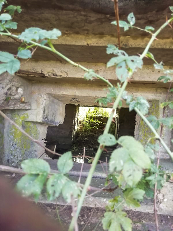 Ligne Maginot - WEIHER 5 - (Blockhaus pour canon) - Cote Est - Jin Jac