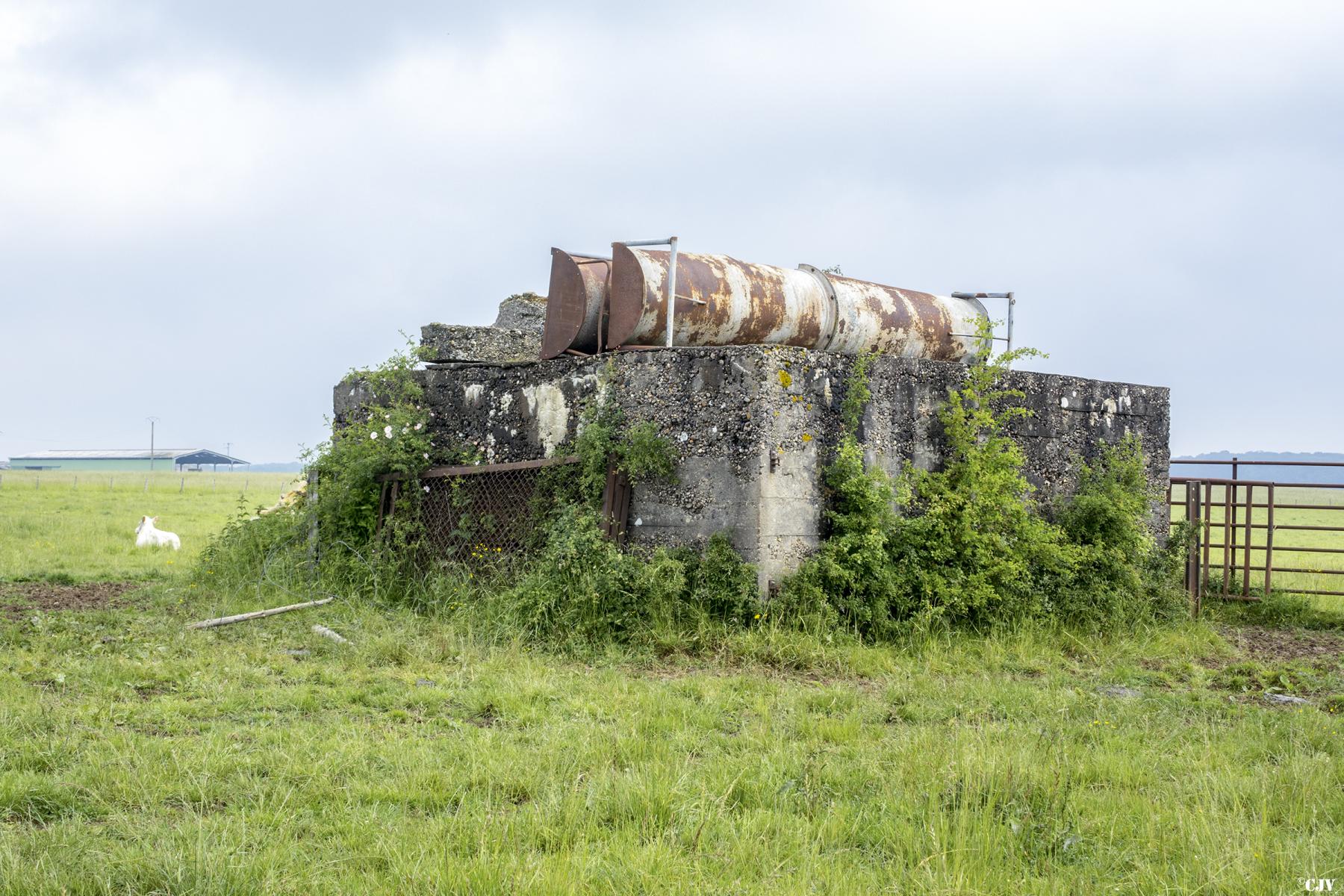 Ligne Maginot - WEIHER 5 - (Blockhaus pour canon) -     - Lia VERMEULEN