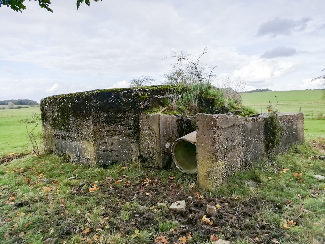 Ligne Maginot - WEIHER 4 - (Blockhaus pour arme infanterie) - L'entrée - Jin Jac