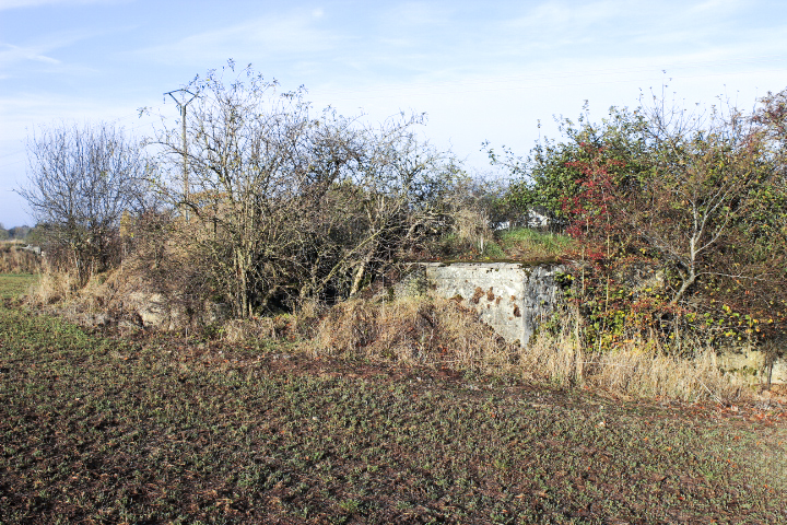 Ligne Maginot - RODENBERG 1 - (Blockhaus de type indéterminé) -           - JIN JAC