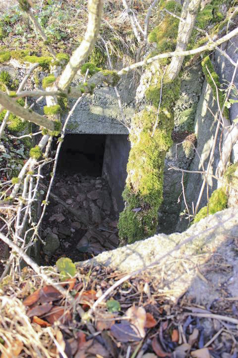 Ligne Maginot - RODENBERG 1 - (Blockhaus de type indéterminé) -  - JIN JAC