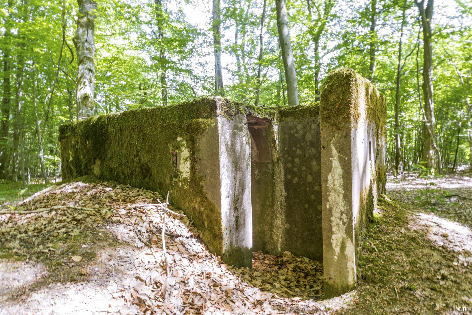 Ligne Maginot - SCHEIDWALD 6 - (Blockhaus pour arme infanterie) -                    - Lia VERMEULEN
