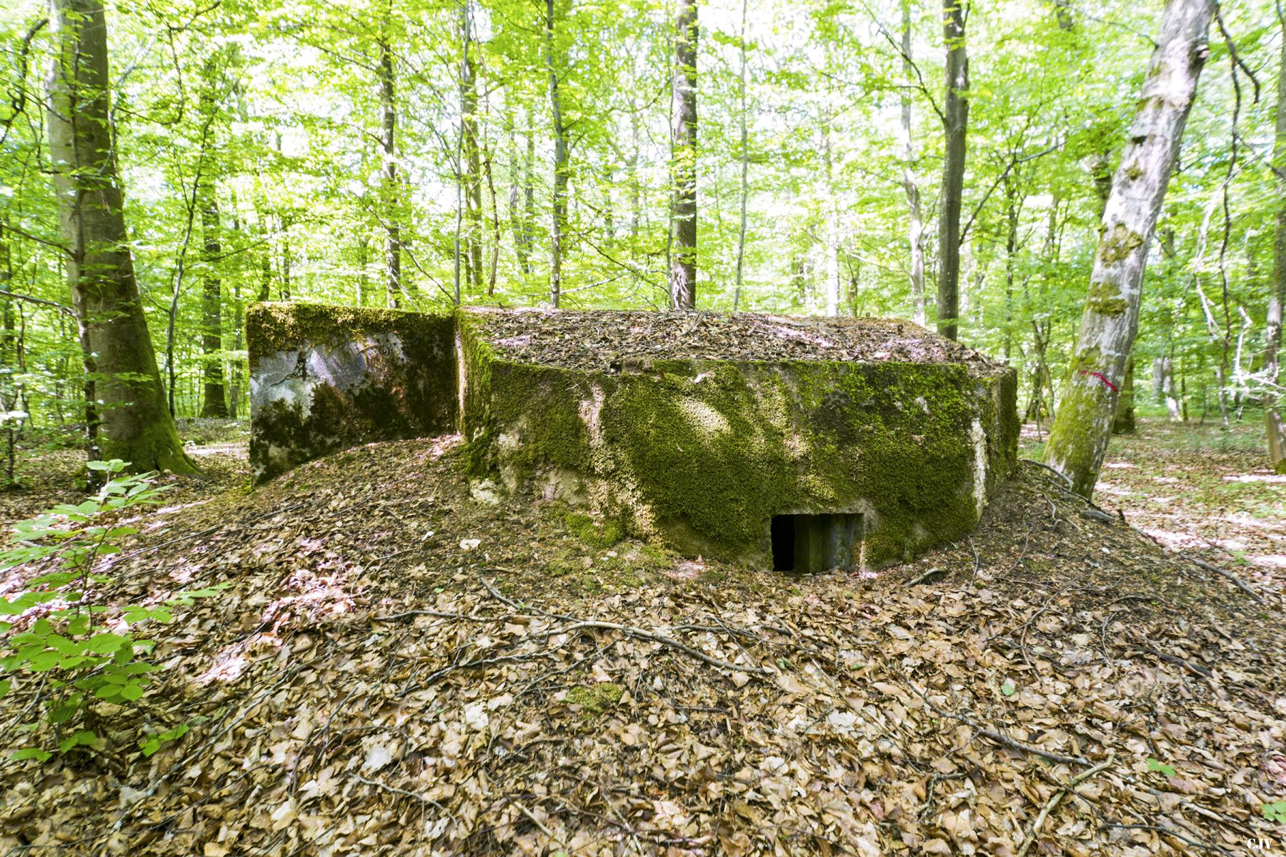 Ligne Maginot - SCHEIDWALD 6 - (Blockhaus pour arme infanterie) -                   - Lia VERMEULEN