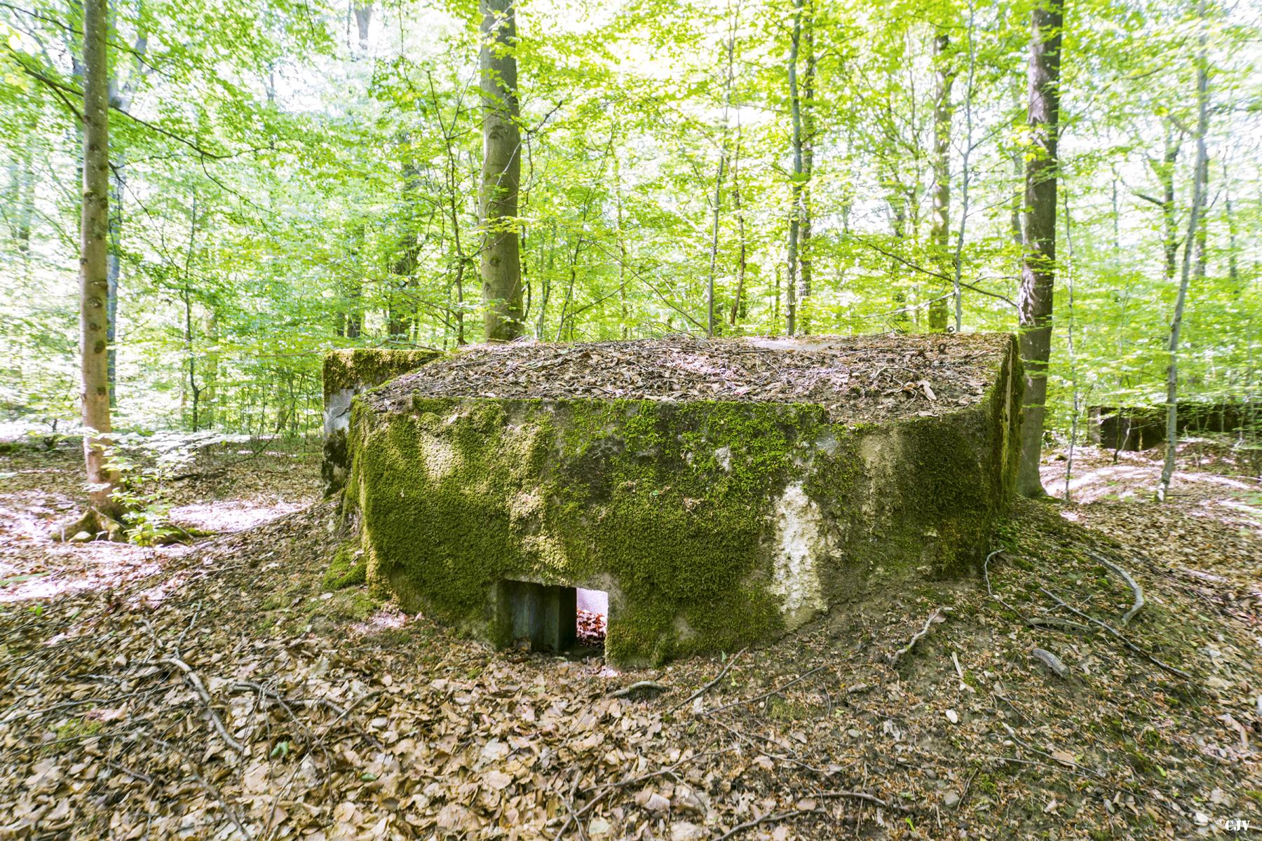Ligne Maginot - SCHEIDWALD 6 - (Blockhaus pour arme infanterie) -                  - Lia VERMEULEN