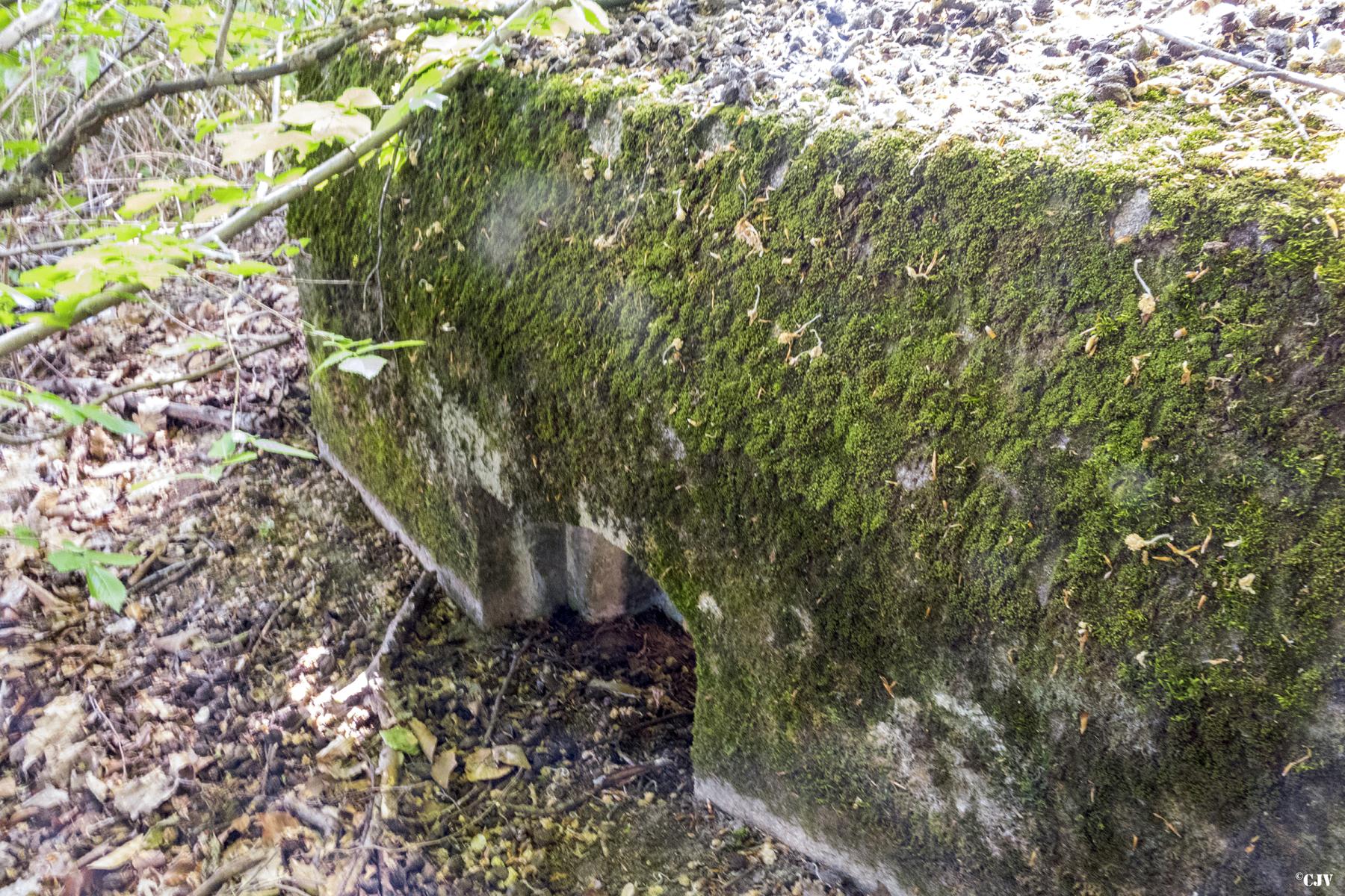 Ligne Maginot - SCHEIDWALD 8 - (Blockhaus pour arme infanterie) -                       - Lia VERMEULEN