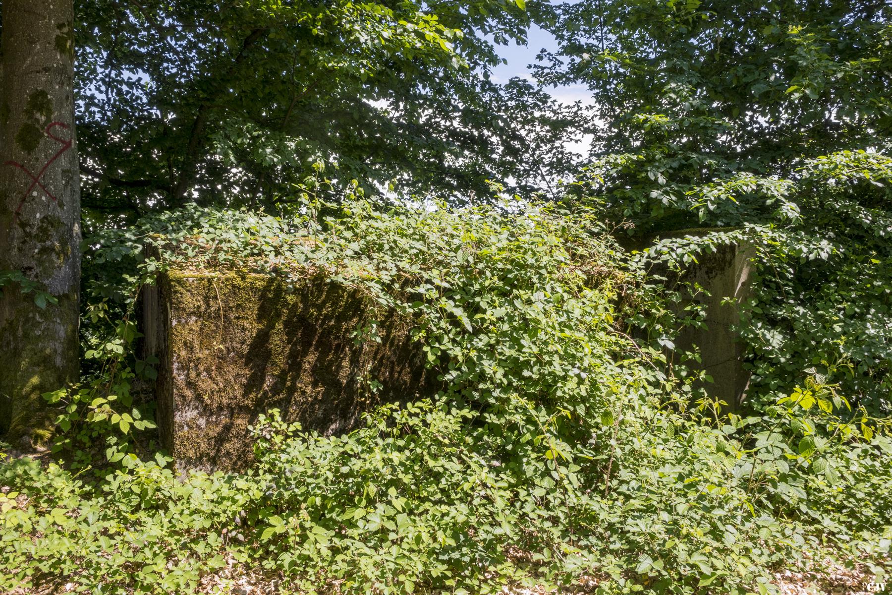 Ligne Maginot - SCHEIDWALD 8 - (Blockhaus pour arme infanterie) -                        - Lia VERMEULEN