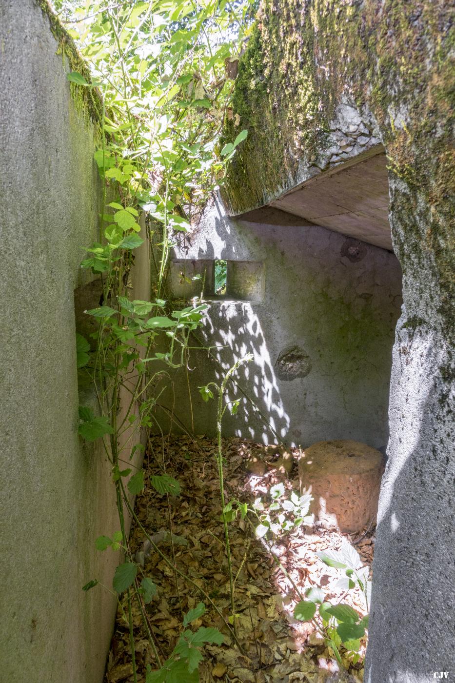 Ligne Maginot - SCHEIDWALD 8 - (Blockhaus pour arme infanterie) -                         - Lia VERMEULEN