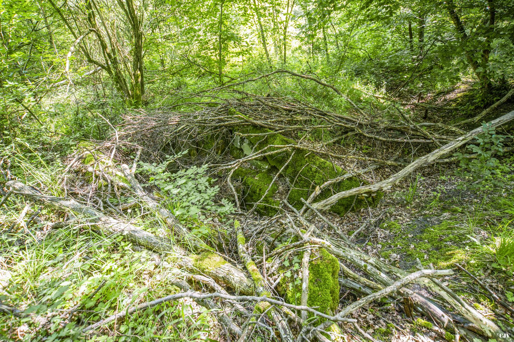 Ligne Maginot - SCHIRMENSTUDEN 3 - (Blockhaus de type indeterminé) -                      - Lia VERMEULEN