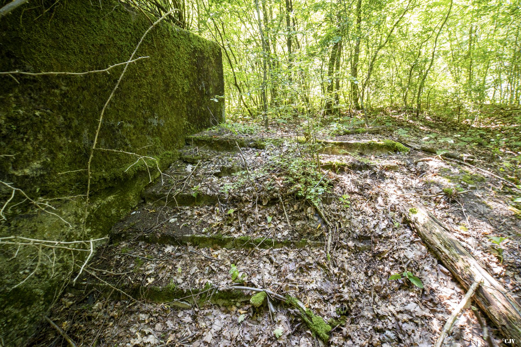 Ligne Maginot - SCHIRMENSTUDEN 2 - (Blockhaus de type indéterminé) -                     - Lia VERMEULEN