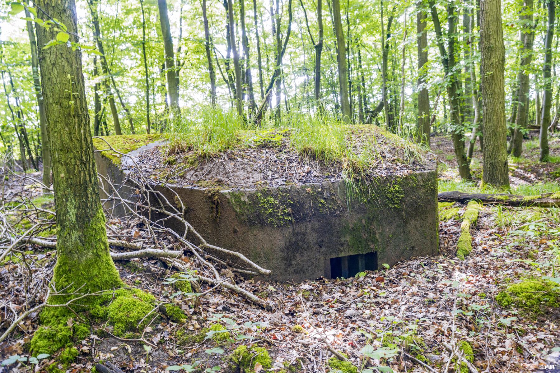 Ligne Maginot - TAUBRUNNENWALD 1 - (Blockhaus pour arme infanterie) -  - Lia VERMEULEN