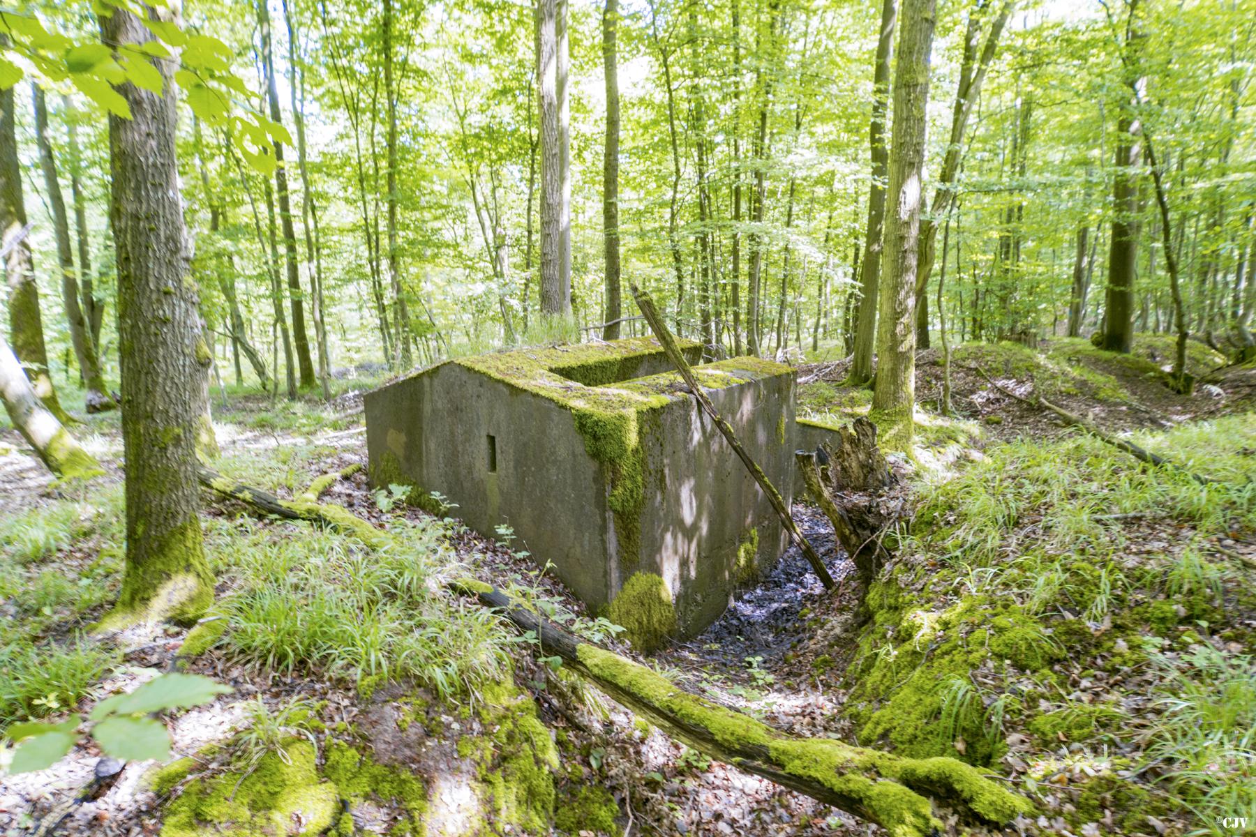 Ligne Maginot - TAUBRUNNENWALD 1 - (Blockhaus pour arme infanterie) -  - Lia VERMEULEN