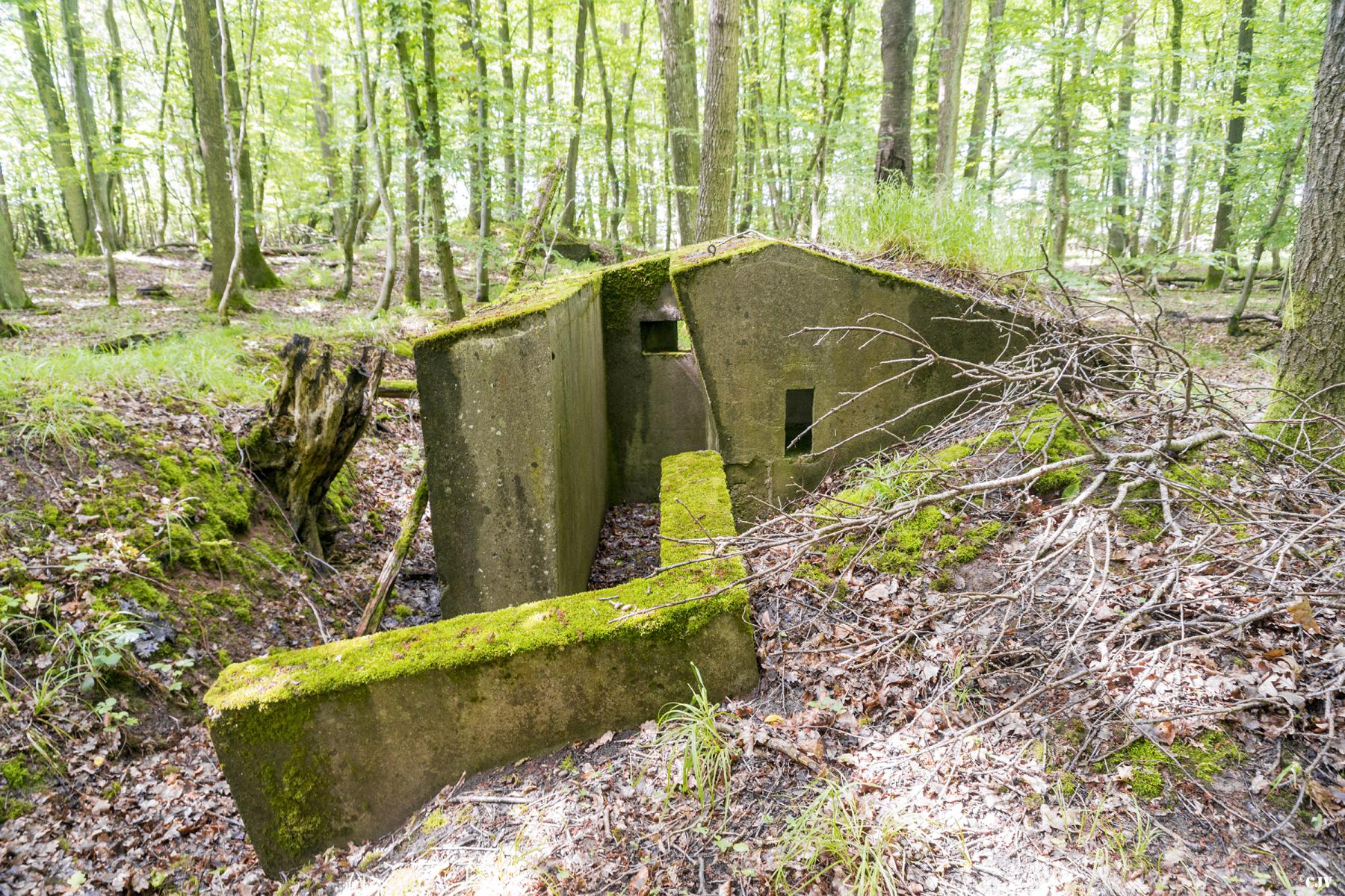 Ligne Maginot - TAUBRUNNENWALD 1 - (Blockhaus pour arme infanterie) -  - Lia VERMEULEN
