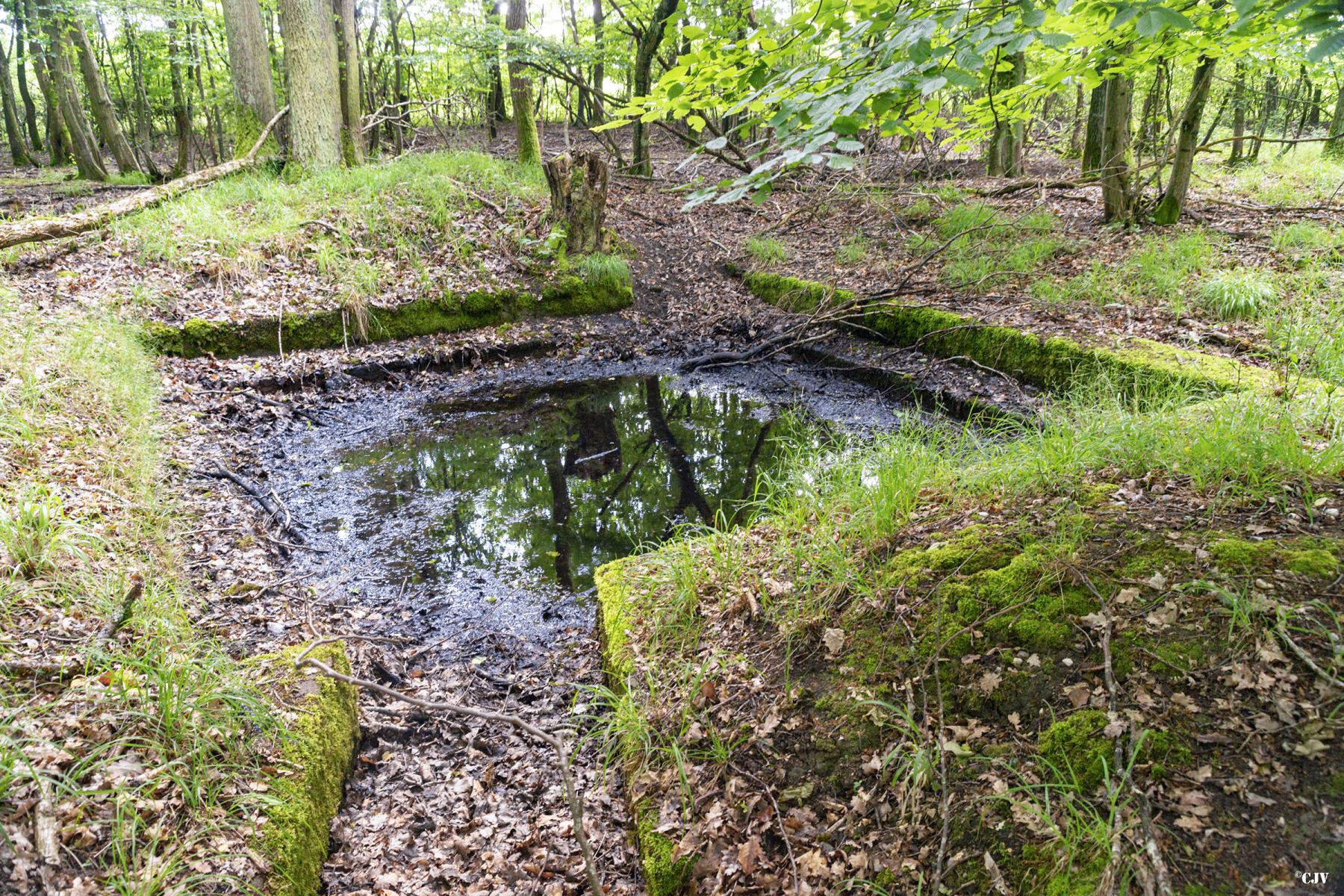 Ligne Maginot - TAUBRUNNENWALD 2 - (Cuve pour canon) -           - Lia VERMEULEN