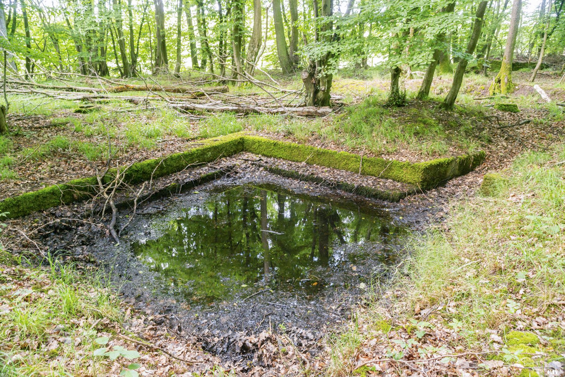 Ligne Maginot - TAUBRUNNENWALD 2 - (Cuve pour canon) -            - Lia VERMEULEN