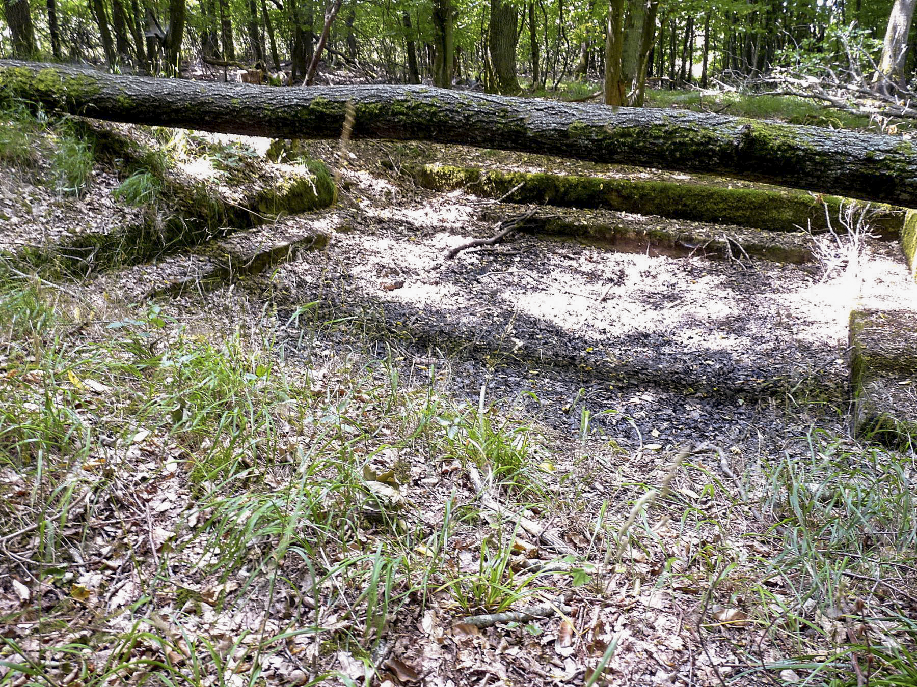 Ligne Maginot - TAUBRUNNENWALD 2 - (Cuve pour canon) - L'emplacement à sec - Sylvie Laure LAMBERT