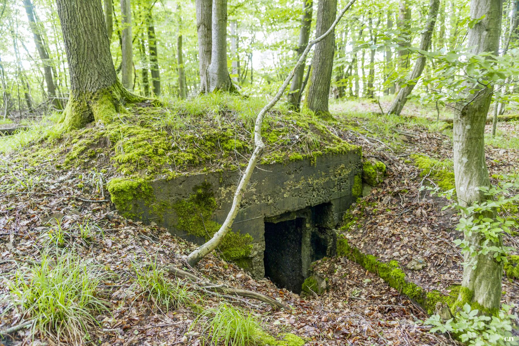 Ligne Maginot - TAUBRUNNENWALD 3 - (Abri) -              - Lia VERMEULEN