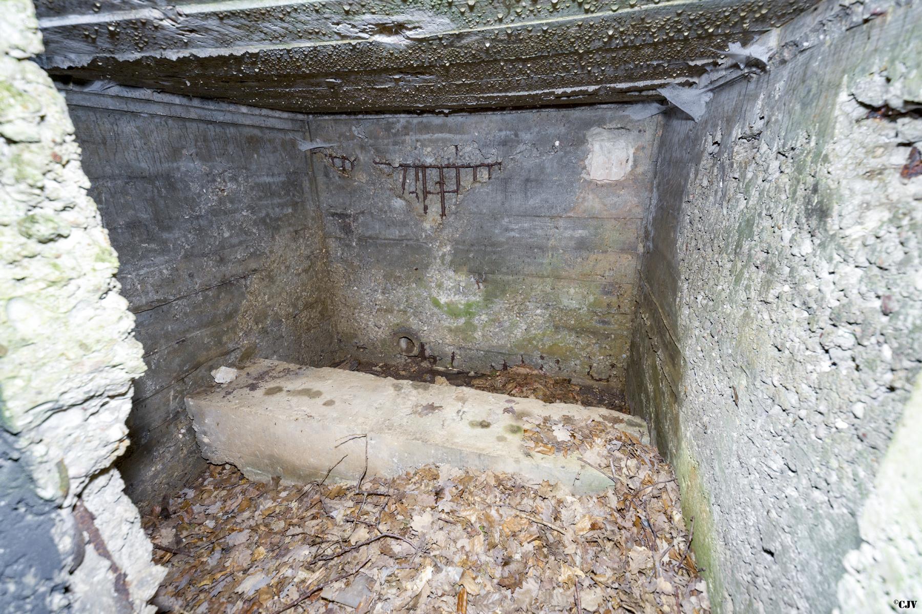 Ligne Maginot - TAUBRUNNENWALD 3 - (Abri) -               - Lia VERMEULEN