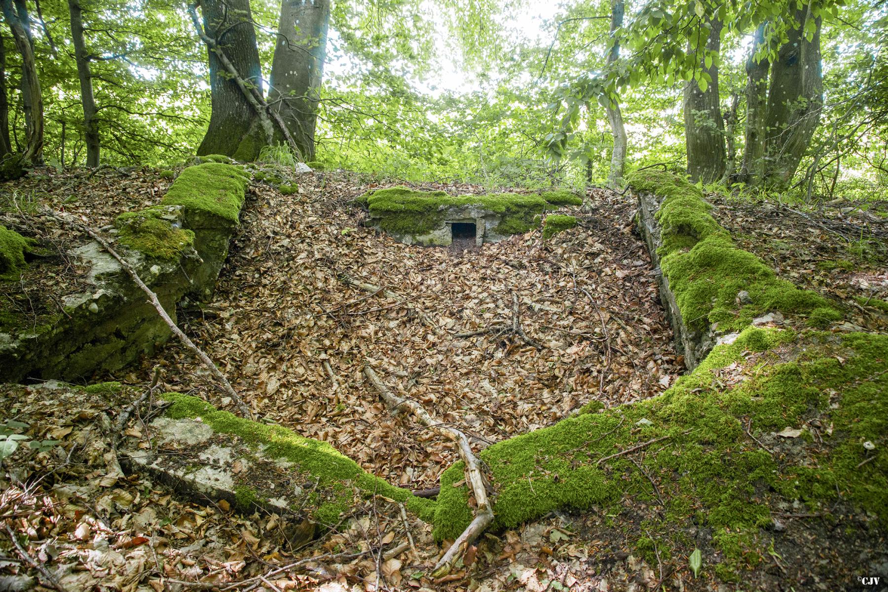 Ligne Maginot - TAUBRUNNENWALD 9 - (Blockhaus pour arme infanterie) -                                              - Lia VERMEULEN