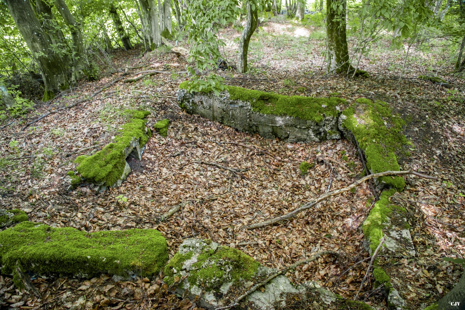 Ligne Maginot - TAUBRUNNENWALD 9 - (Blockhaus pour arme infanterie) -                                               - Lia VERMEULEN