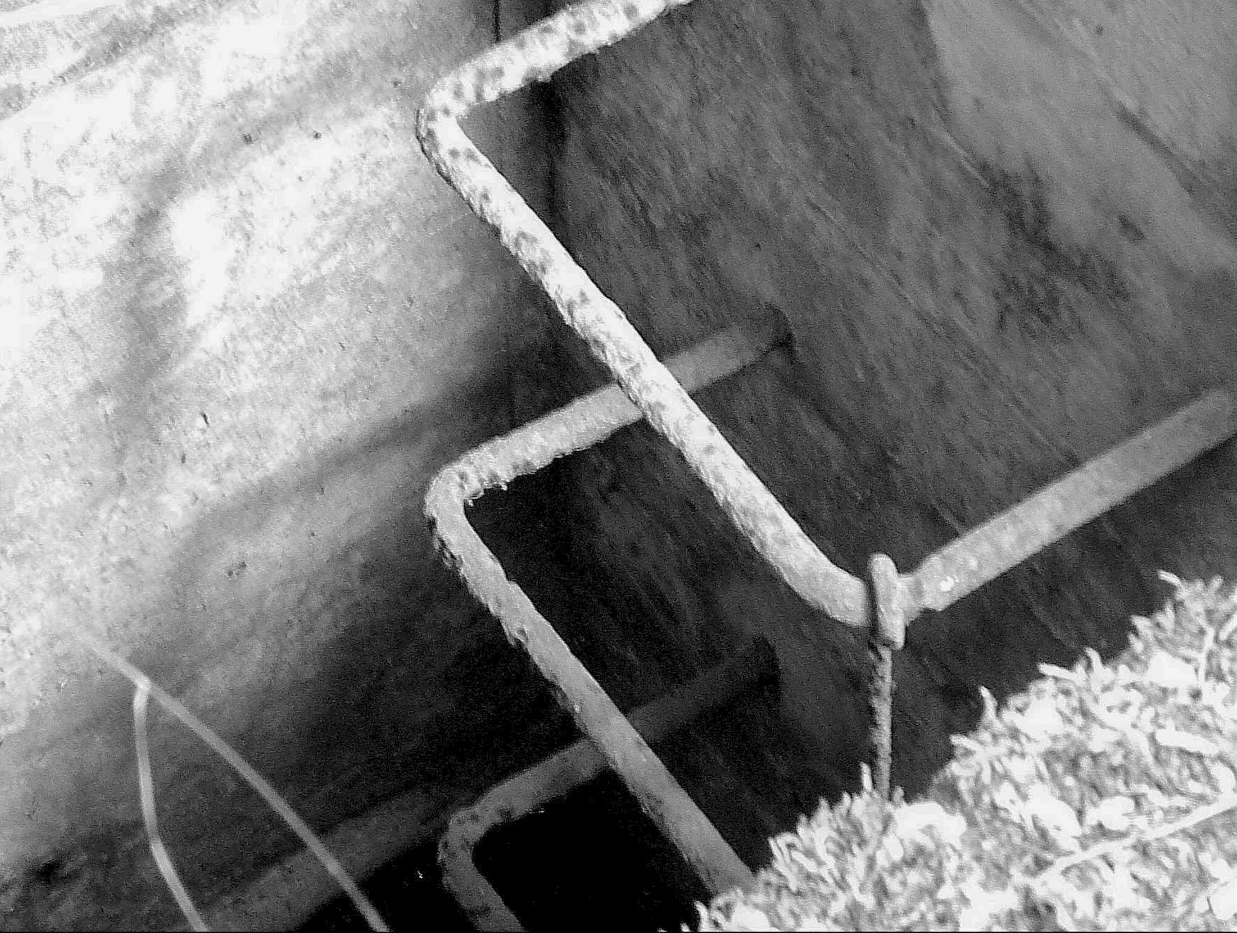 Ligne Maginot - TAUBRUNNENWALD 12 - FT - (Blockhaus pour arme infanterie) -  - Sylvie Laure LAMBERT