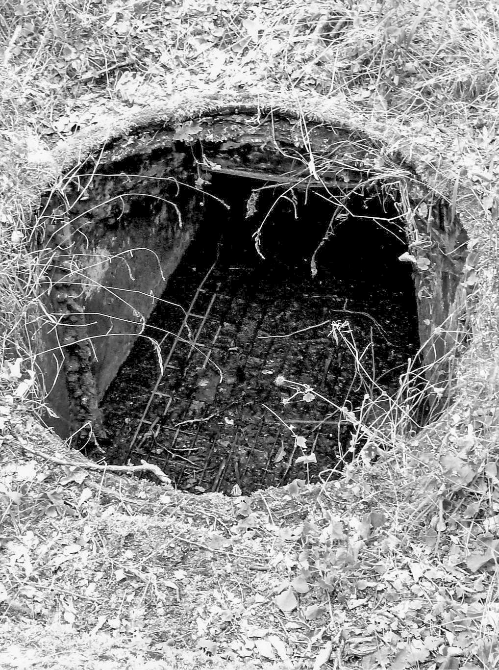 Ligne Maginot - TAUBRUNNENWALD 12 - FT - (Blockhaus pour arme infanterie) -  - Sylvie Laure LAMBERT